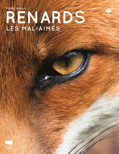 <strong>Le renard</strong> de Pierre Rigaux<br /><em>Édition Delachaux et Niestlé</em>